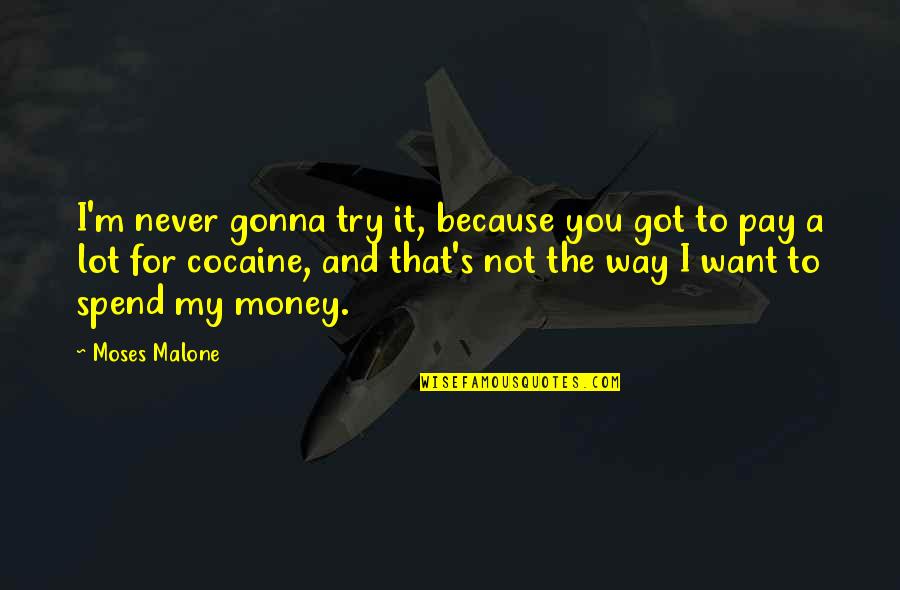 I Want Your Money Quotes By Moses Malone: I'm never gonna try it, because you got I Want Your Money Quotes By Moses Malone: I'm never gonna try it, because you got