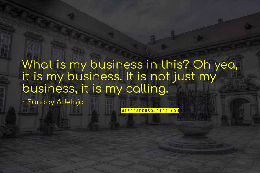 I Was Born To Travel Quotes By Sunday Adelaja: What is my business in this? Oh yea,