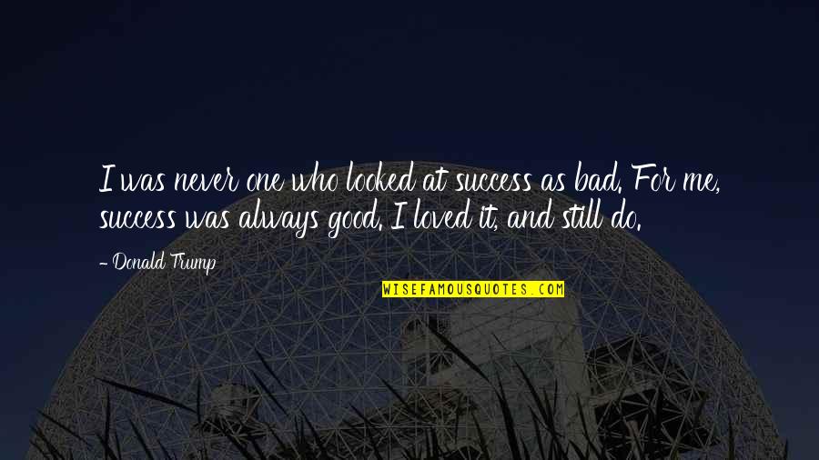 I Was Never Loved Quotes By Donald Trump: I was never one who looked at success I Was Never Loved Quotes By Donald Trump: I was never one who looked at success