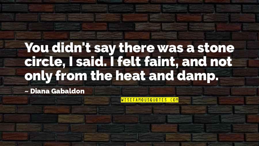 I Was Not There Quotes By Diana Gabaldon: You didn't say there was a stone circle,