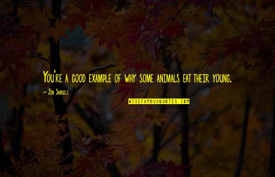 I Was Young And Stupid Quotes By Jim Samuels: You're a good example of why some animals