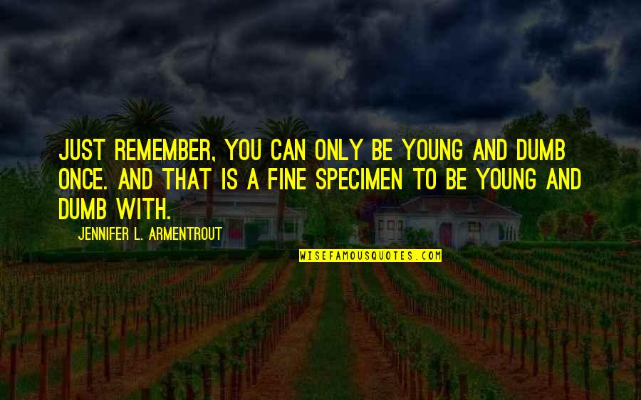 I Was Young Once Quotes By Jennifer L. Armentrout: Just remember, you can only be young and