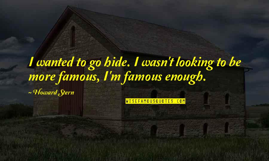 I Wasn't Enough Quotes By Howard Stern: I wanted to go hide. I wasn't looking