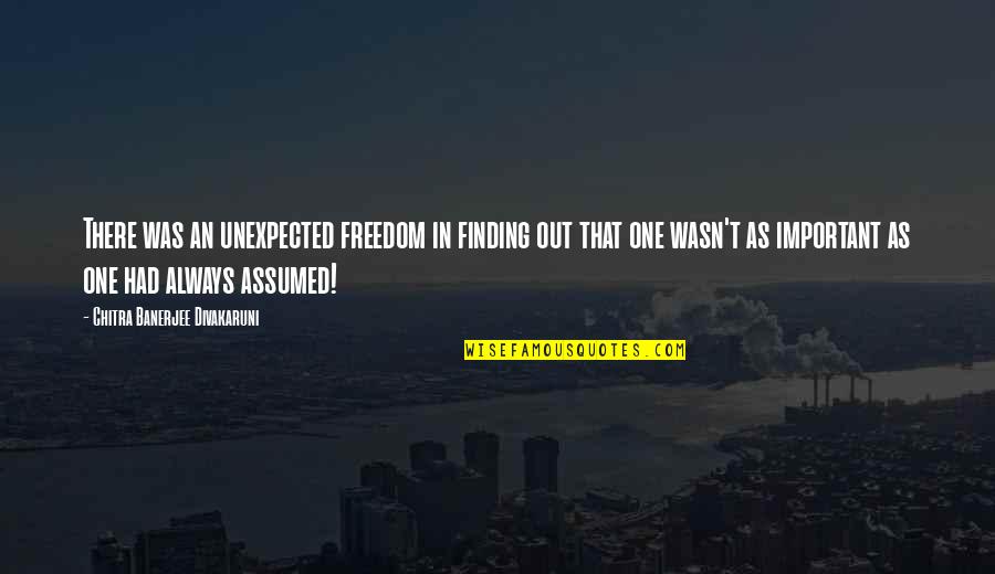 I Wasn't Important To You Quotes By Chitra Banerjee Divakaruni: There was an unexpected freedom in finding out