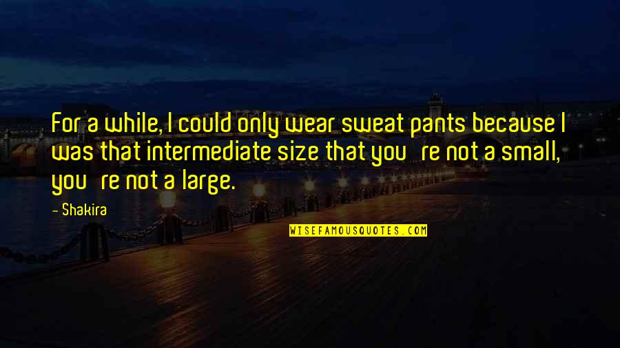 I Wear The Pants Quotes By Shakira: For a while, I could only wear sweat