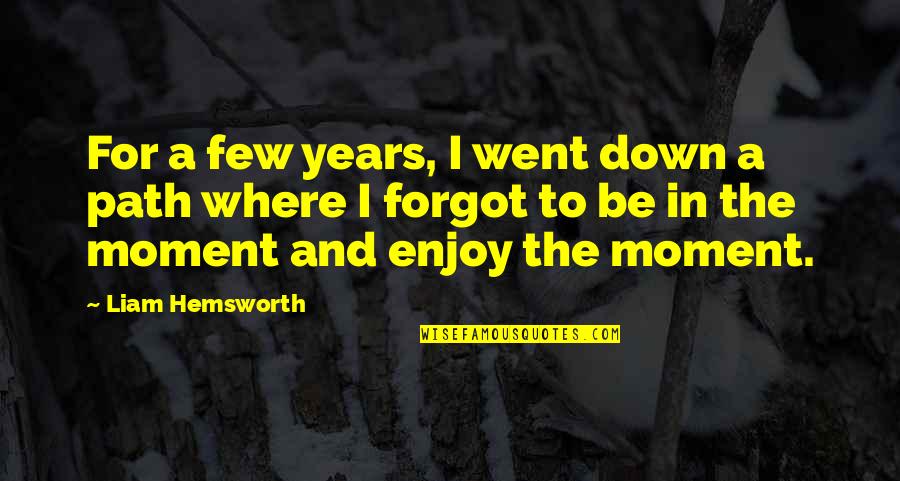 I Went Down Quotes By Liam Hemsworth: For a few years, I went down a