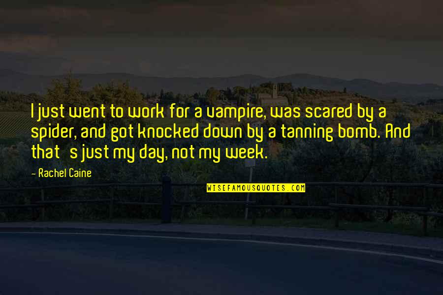 I Went Down Quotes By Rachel Caine: I just went to work for a vampire,