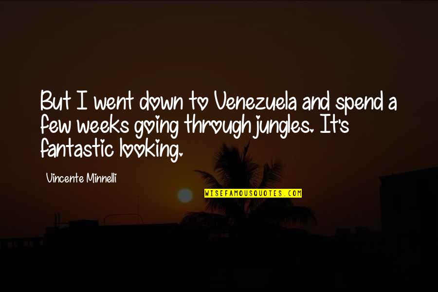 I Went Down Quotes By Vincente Minnelli: But I went down to Venezuela and spend