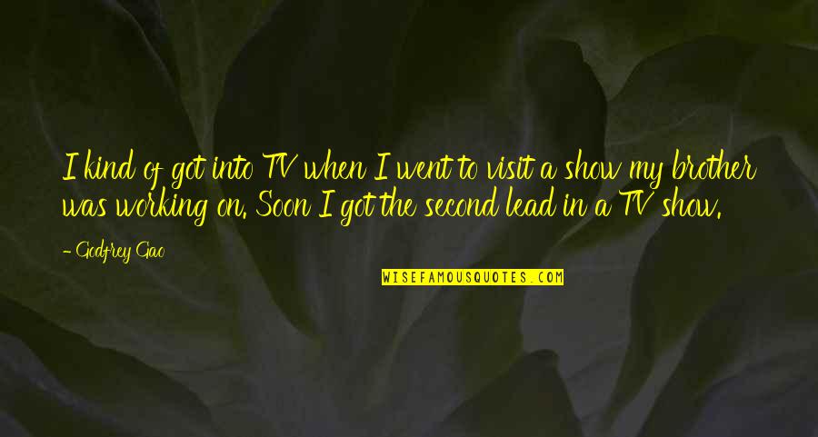 I Went Quotes By Godfrey Gao: I kind of got into TV when I I Went Quotes By Godfrey Gao: I kind of got into TV when I