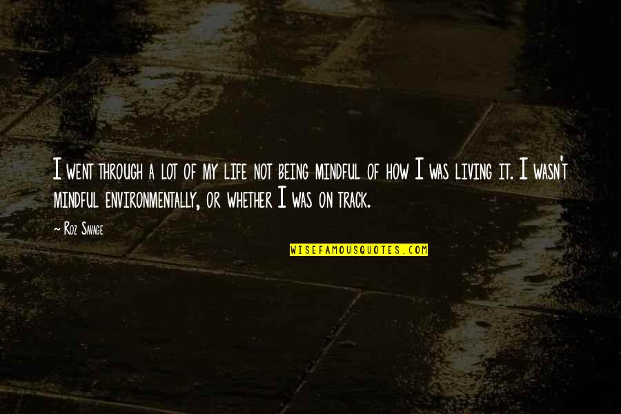 I Went Quotes By Roz Savage: I went through a lot of my life I Went Quotes By Roz Savage: I went through a lot of my life