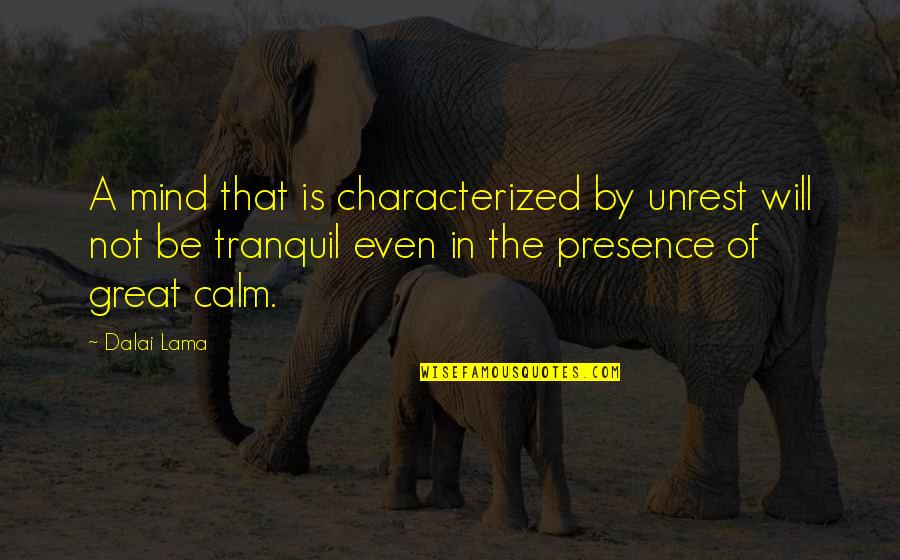 I Will Be Calm Quotes By Dalai Lama: A mind that is characterized by unrest will