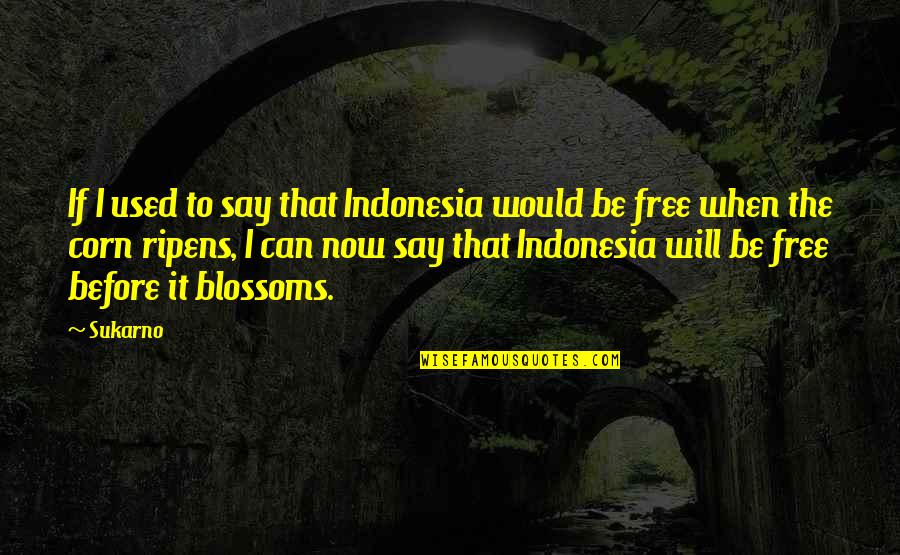 I Will Be Free Quotes By Sukarno: If I used to say that Indonesia would