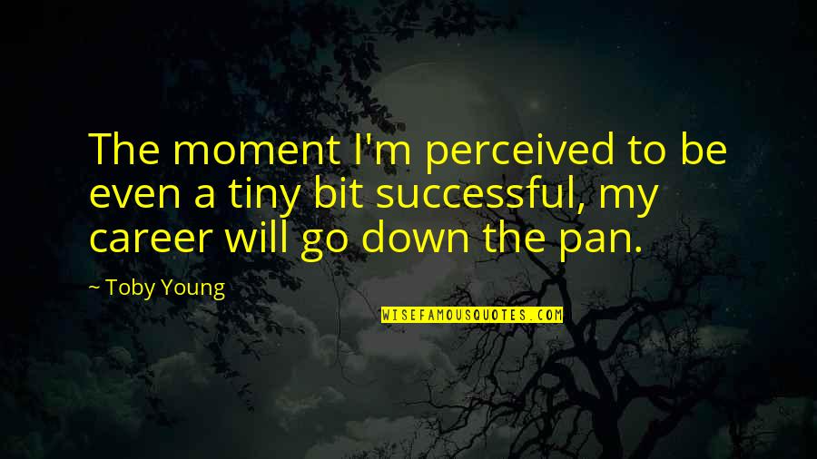 I Will Be Successful Quotes By Toby Young: The moment I'm perceived to be even a