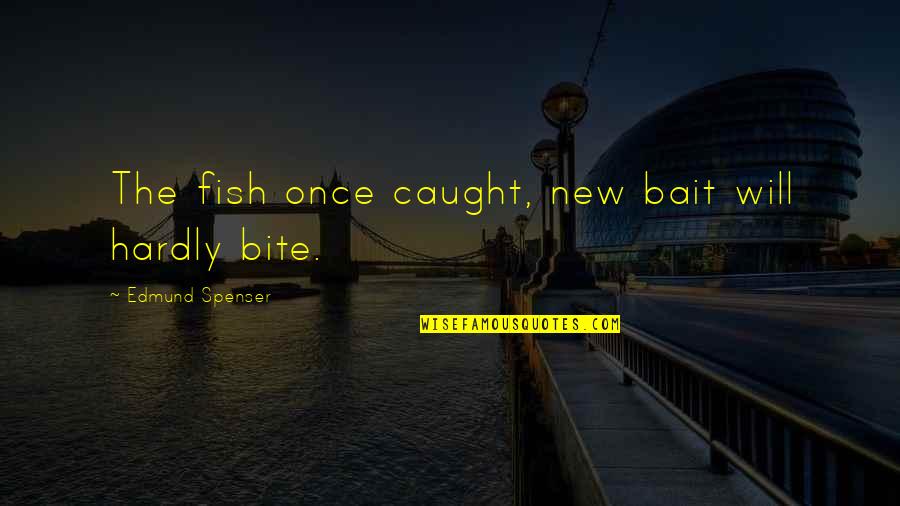 I Will Bite You Quotes By Edmund Spenser: The fish once caught, new bait will hardly