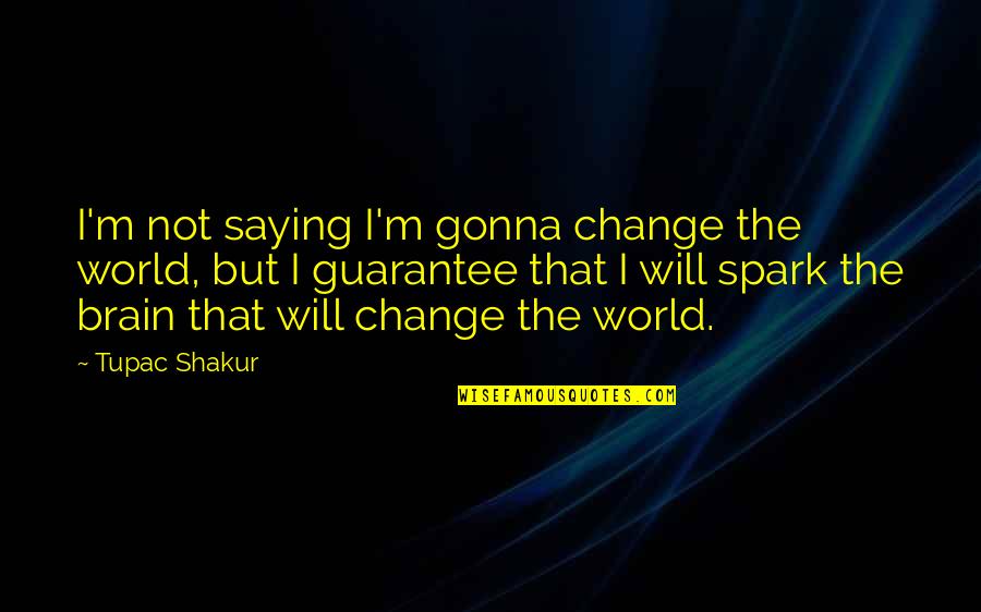 I Will Change The World Quotes By Tupac Shakur: I'm not saying I'm gonna change the world,