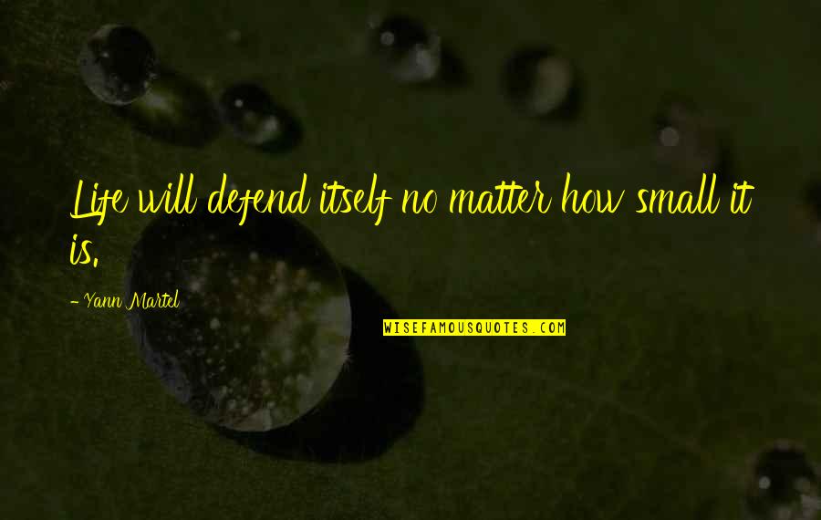 I Will Defend You Quotes By Yann Martel: Life will defend itself no matter how small