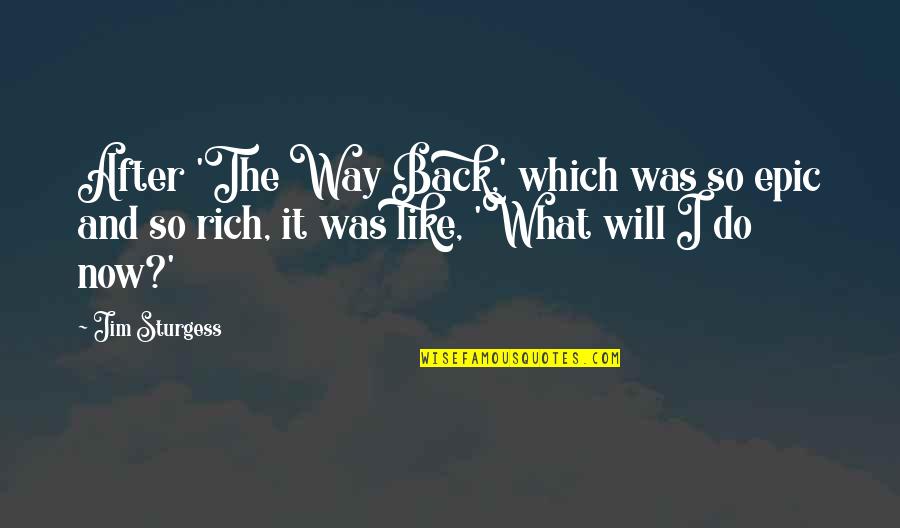 I Will Do What I Like Quotes By Jim Sturgess: After 'The Way Back,' which was so epic