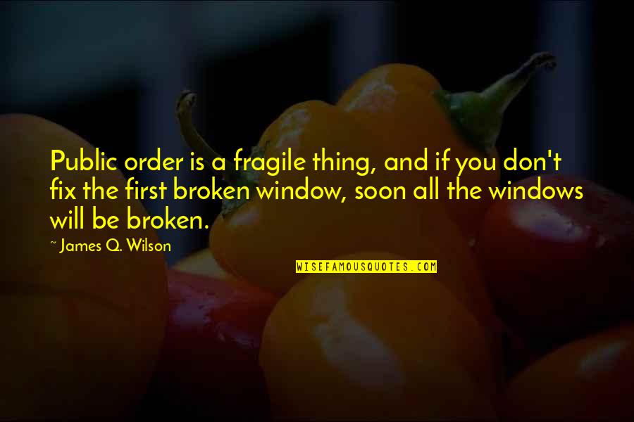 I Will Fix You Quotes By James Q. Wilson: Public order is a fragile thing, and if