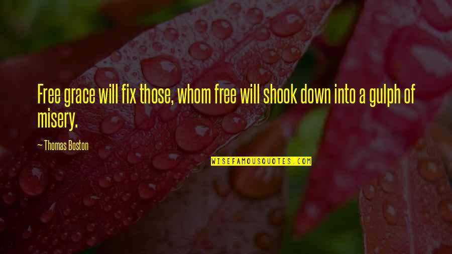 I Will Fix You Quotes By Thomas Boston: Free grace will fix those, whom free will