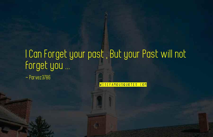 I Will Forget You Quotes By Parvez3786: I Can Forget your past , But your