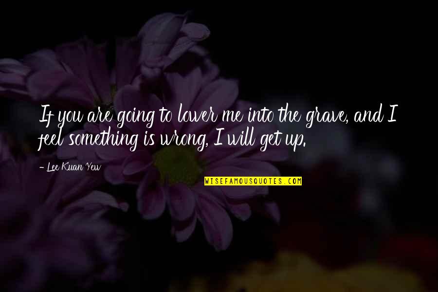 I Will Get Up Quotes By Lee Kuan Yew: If you are going to lower me into