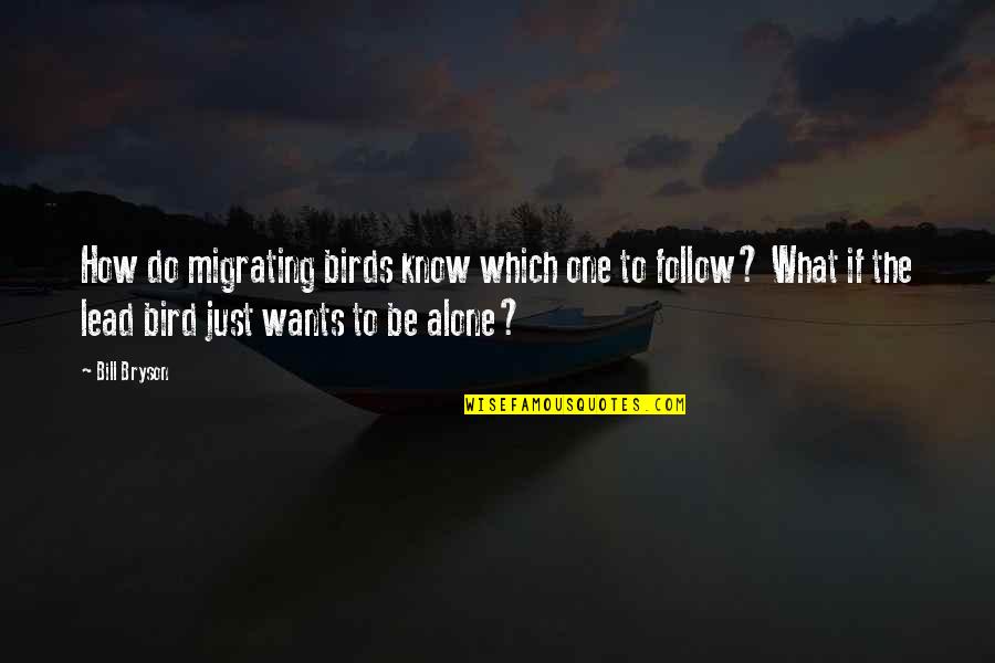 I Will Learn To Say No Quotes By Bill Bryson: How do migrating birds know which one to I Will Learn To Say No Quotes By Bill Bryson: How do migrating birds know which one to