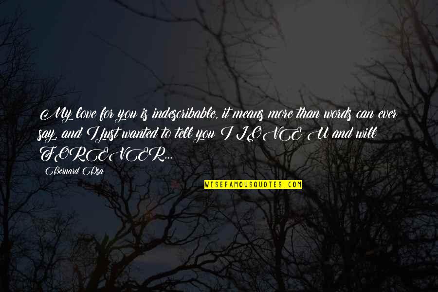 I Will Love You Forever Quotes By Bernard Dsa: My love for you is indescribable, it means