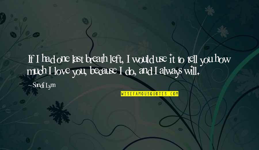 I Will Love You Till My Last Breath Quotes By Sandi Lynn: If I had one last breath left, I