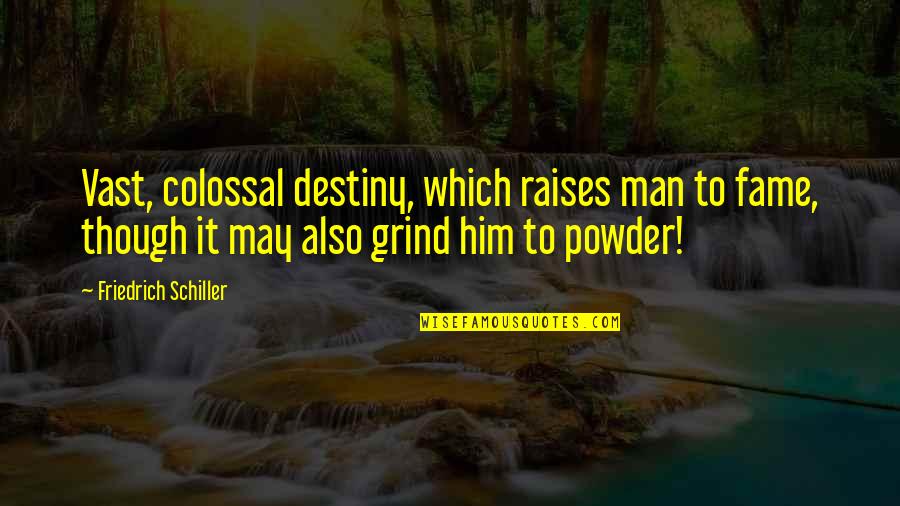 I Will Make It Someday Quotes By Friedrich Schiller: Vast, colossal destiny, which raises man to fame,