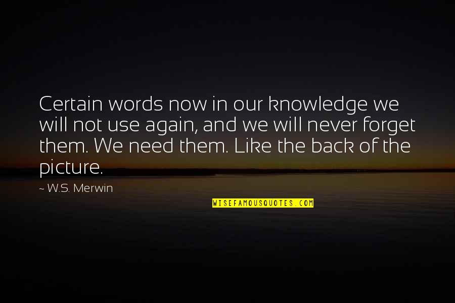 I Will Never Be Back Quotes By W.S. Merwin: Certain words now in our knowledge we will