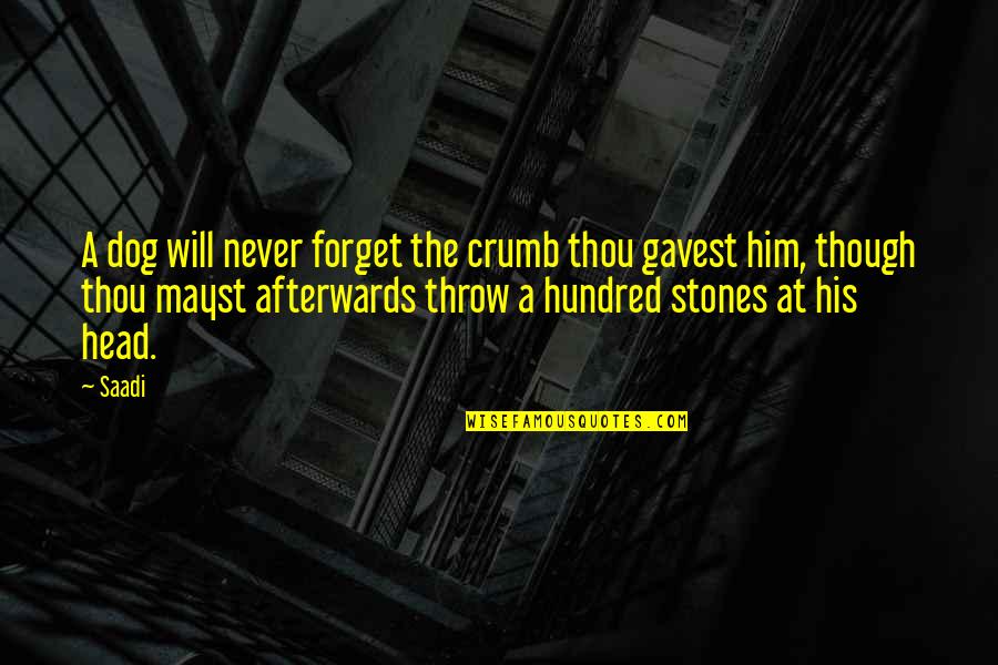 I Will Never Forget Him Quotes By Saadi: A dog will never forget the crumb thou