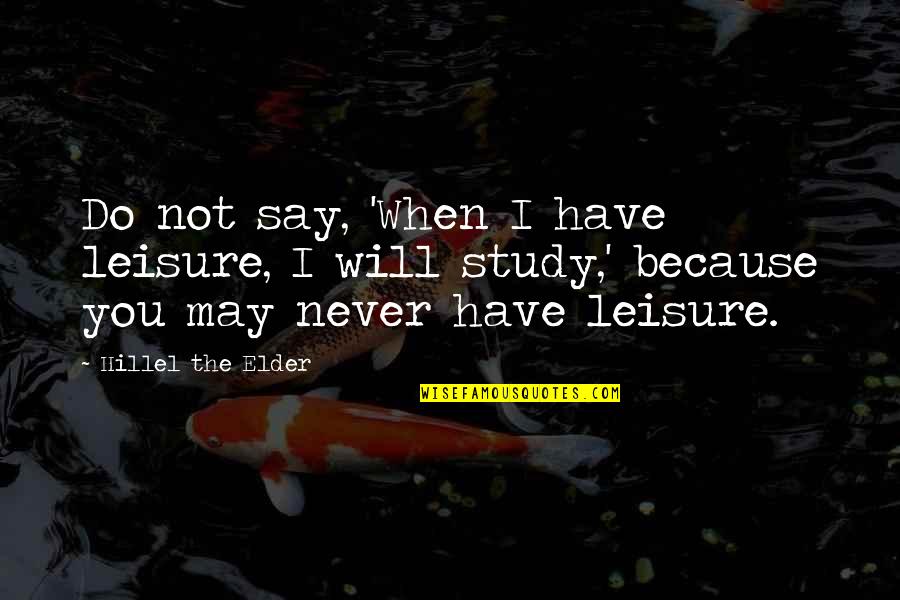 I Will Never Have You Quotes By Hillel The Elder: Do not say, 'When I have leisure, I