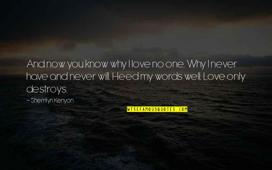 I Will Never Have You Quotes By Sherrilyn Kenyon: And now you know why I love no