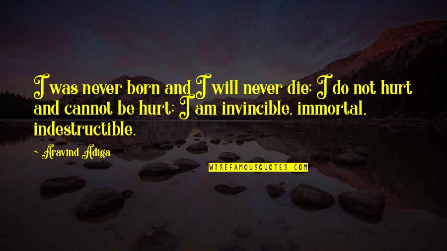I Will Never Hurt You Quotes By Aravind Adiga: I was never born and I will never