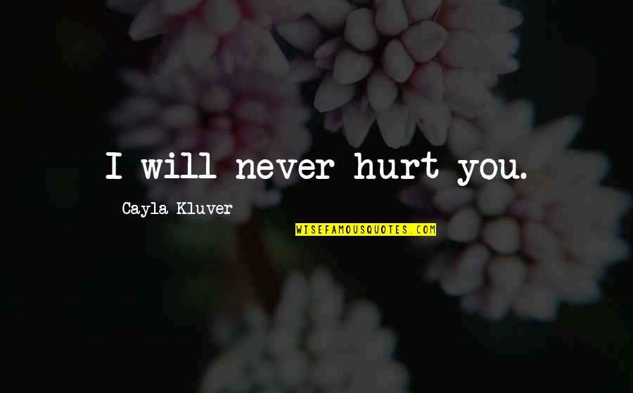 I Will Never Hurt You Quotes By Cayla Kluver: I will never hurt you.