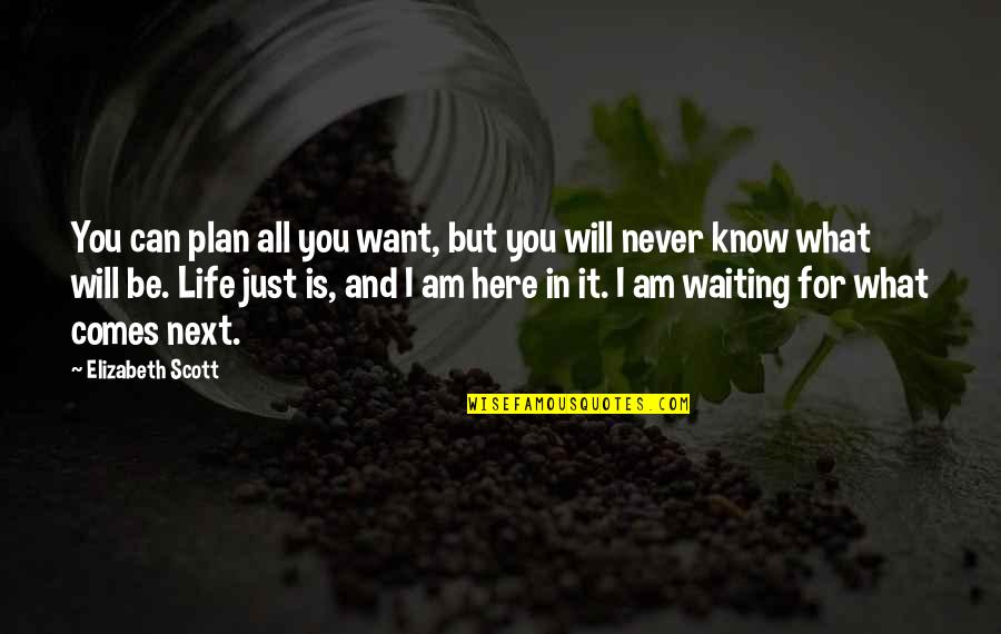 I Will Never Know Quotes By Elizabeth Scott: You can plan all you want, but you