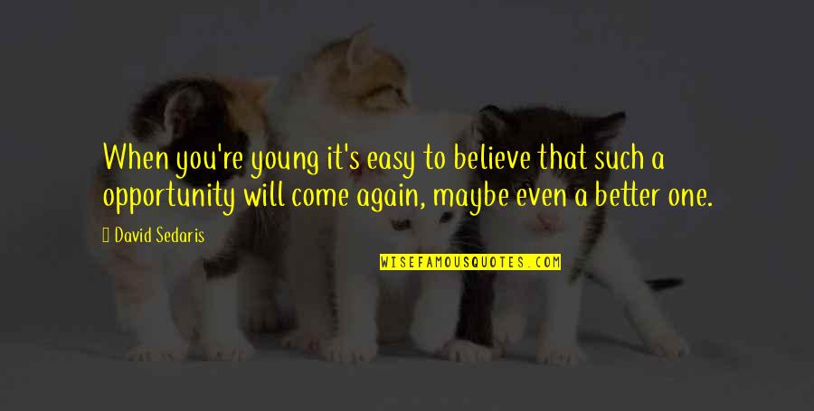 I Will Not Believe You Again Quotes By David Sedaris: When you're young it's easy to believe that