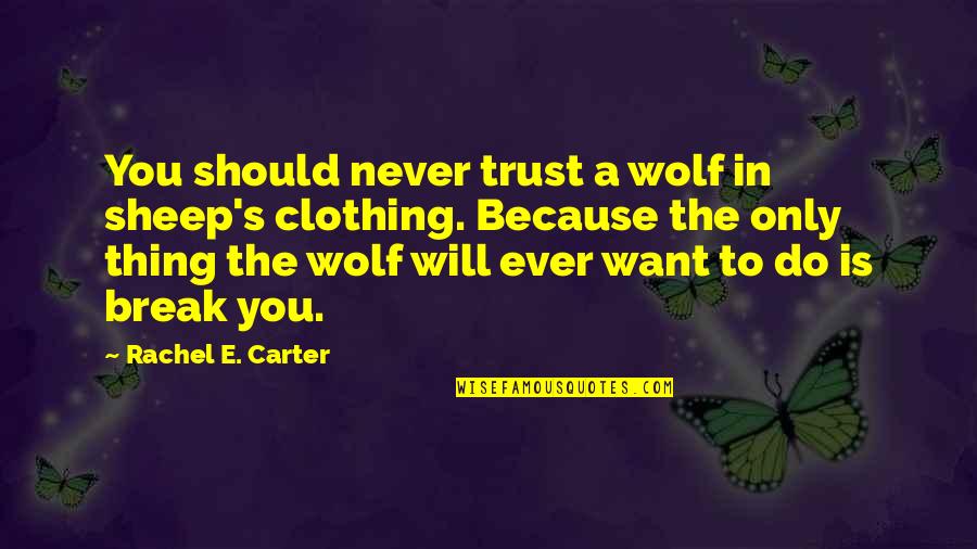 I Will Not Break Your Trust Quotes By Rachel E. Carter: You should never trust a wolf in sheep's