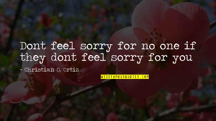 I Will Not Care Anymore Quotes By Christian O. Ortiz: Dont feel sorry for no one if they