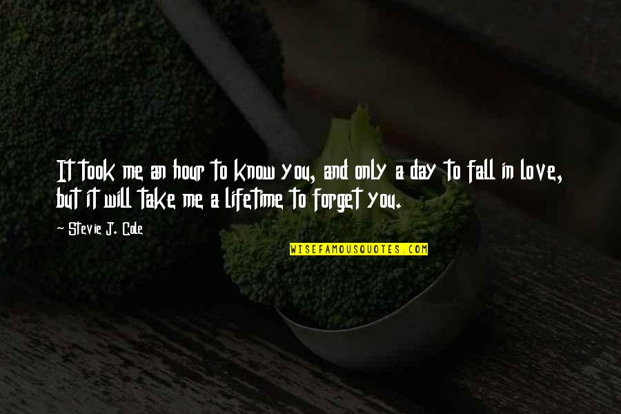 I Will Not Forget You Love Quotes By Stevie J. Cole: It took me an hour to know you,