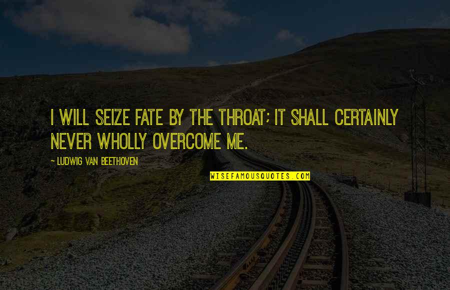 I Will Overcome Quotes By Ludwig Van Beethoven: I will seize fate by the throat; it