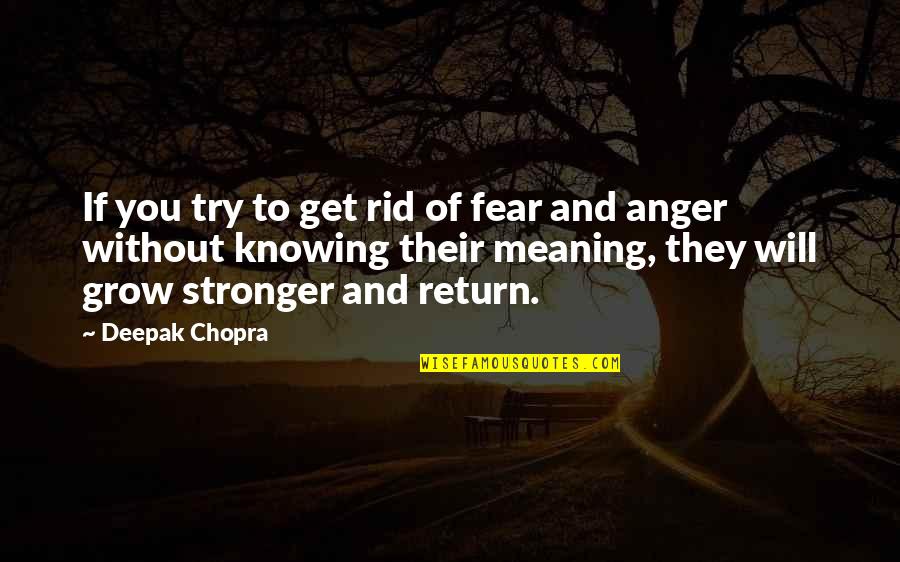 I Will Return Stronger Quotes By Deepak Chopra: If you try to get rid of fear