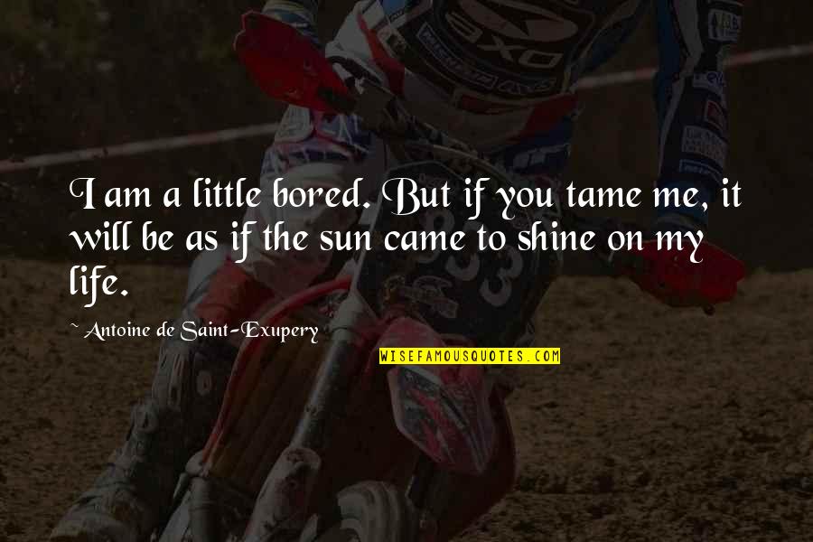 I Will Shine Quotes By Antoine De Saint-Exupery: I am a little bored. But if you