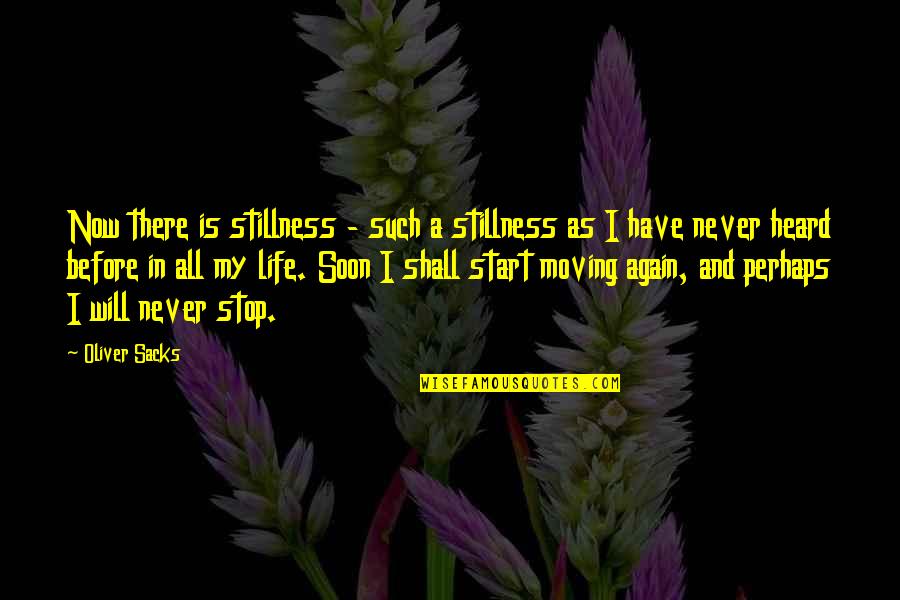 I Will Stop Quotes By Oliver Sacks: Now there is stillness - such a stillness