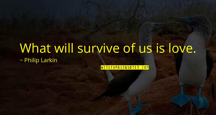 I Will Survive Love Quotes By Philip Larkin: What will survive of us is love.