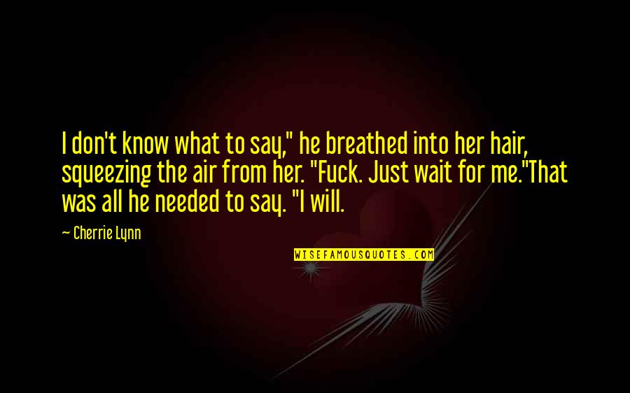 I Will Wait Quotes By Cherrie Lynn: I don't know what to say," he breathed