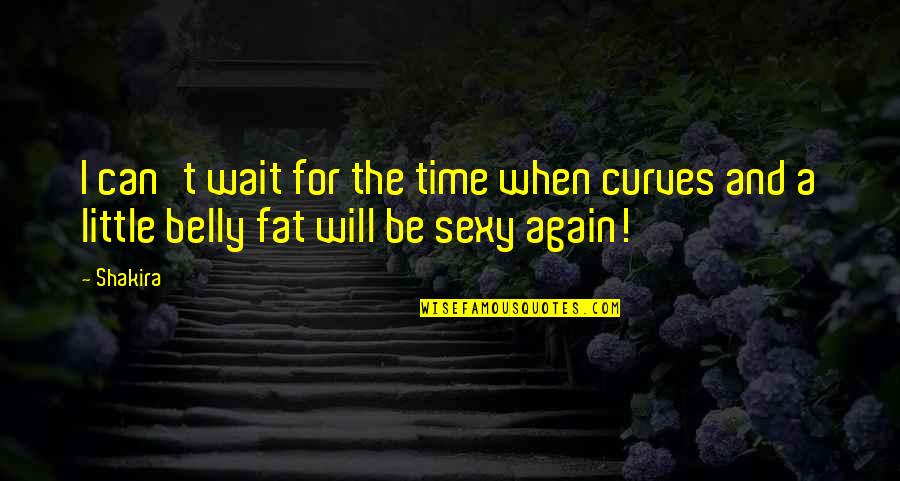 I Will Wait Quotes By Shakira: I can't wait for the time when curves