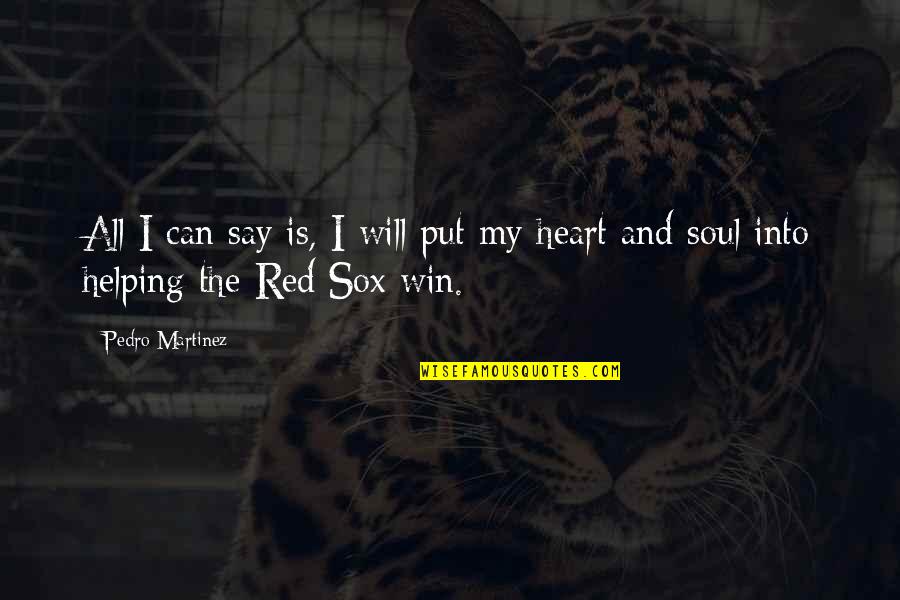I Will Win Quotes By Pedro Martinez: All I can say is, I will put
