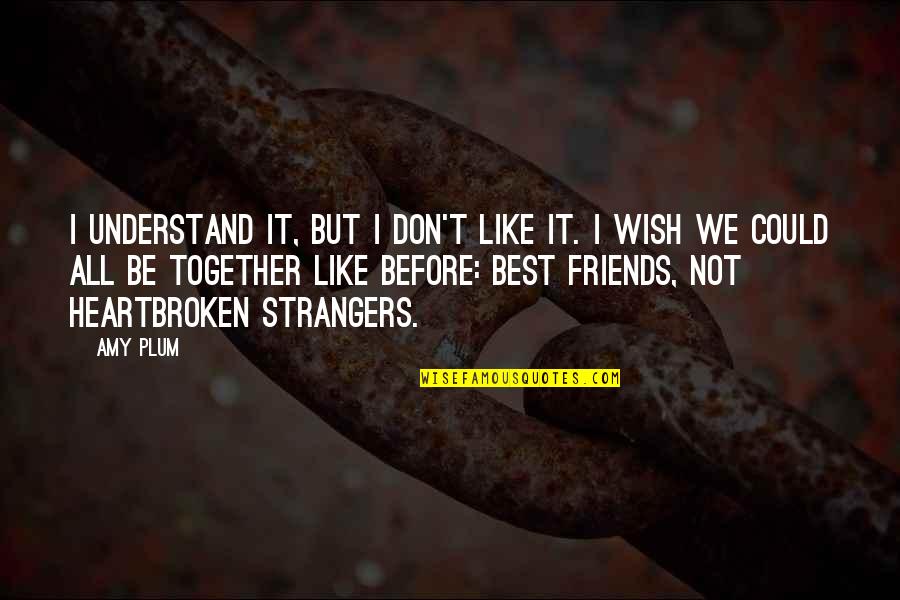 I Wish I Could Be Like You Quotes By Amy Plum: I understand it, but I don't like it.