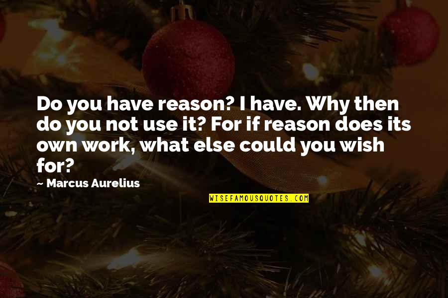 I Wish I Could Have Quotes By Marcus Aurelius: Do you have reason? I have. Why then